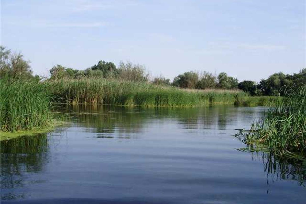 В Горловке в озере обнаружено тело зверски убитой девушки В Горловке в озере обнаружено тело зверски убитой девушки