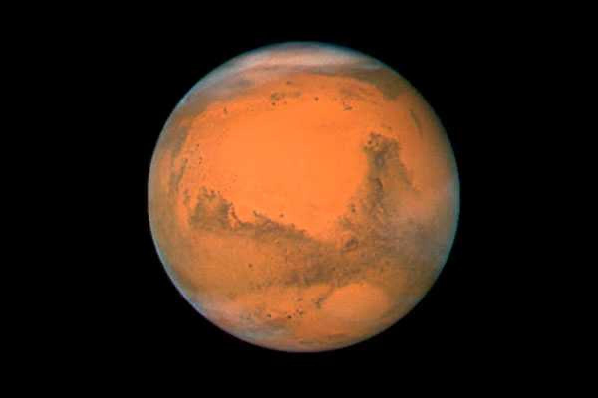 На Марсе найден череп гигантского ящера