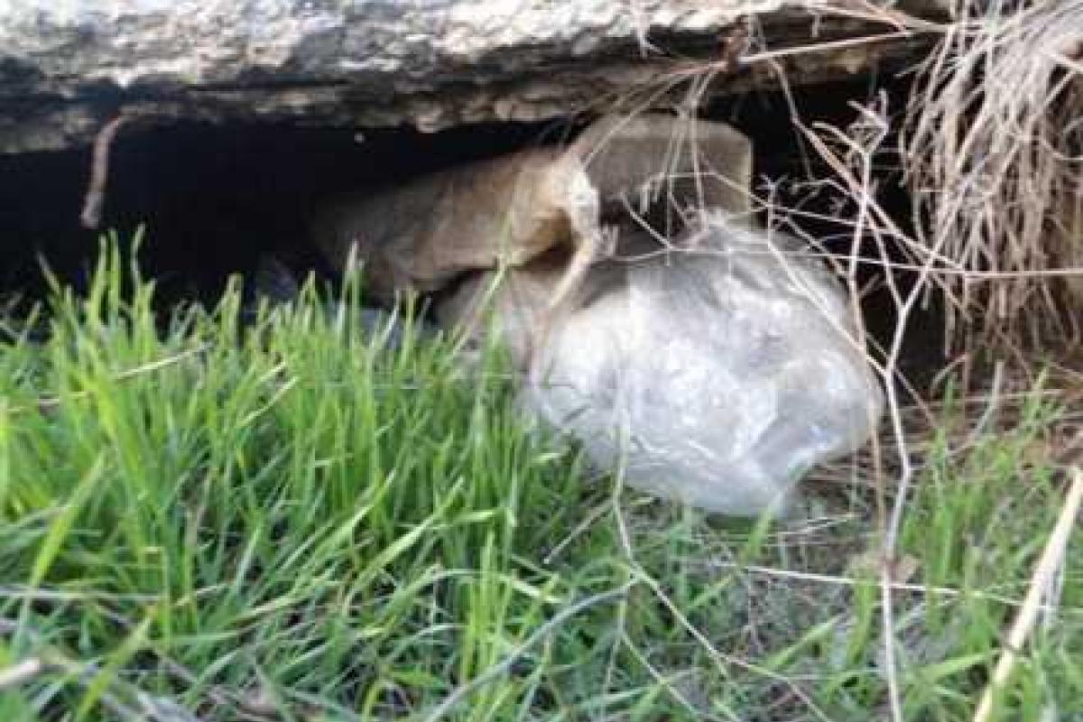 В Мариуполе удалось избежать возможных жертв: раскрыт тайник боеприпасов