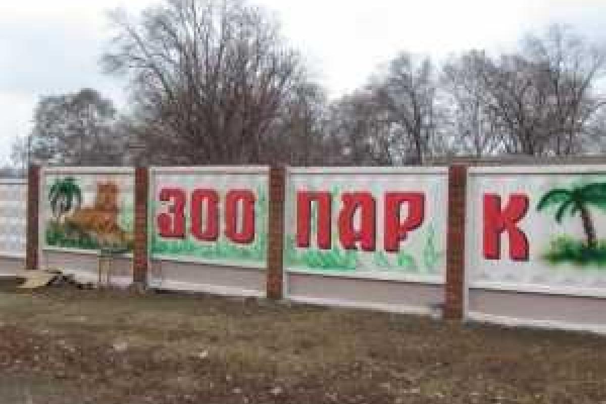 Шокирующая трагедия в Донецкой области: лев растерзал сотрудника зоопарка, оставив мужчину без скальпа