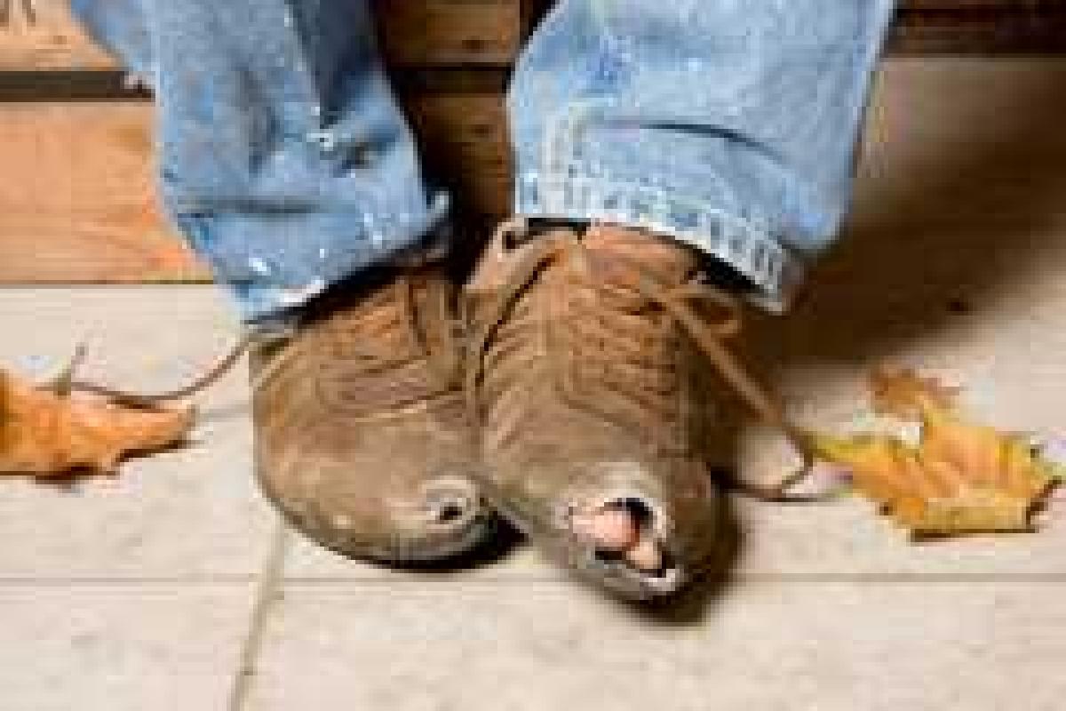 Более 10 миллионов украинцев на грани черты бедности