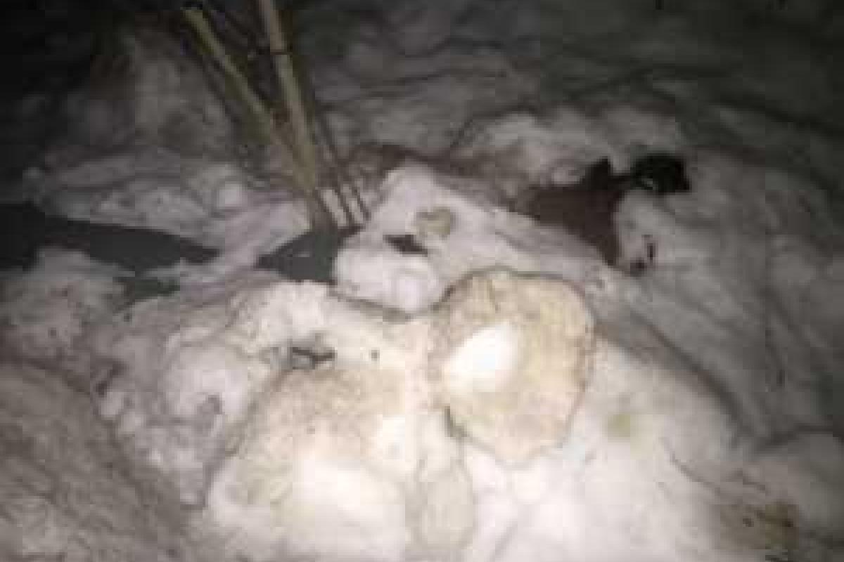 В России многодетный отец задушил девушку прямо в такси