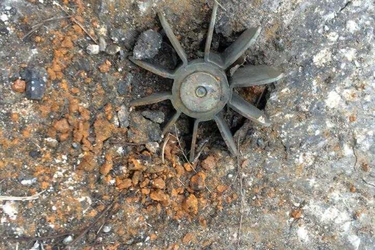 Бочкала: Вечер обещает быть жарким