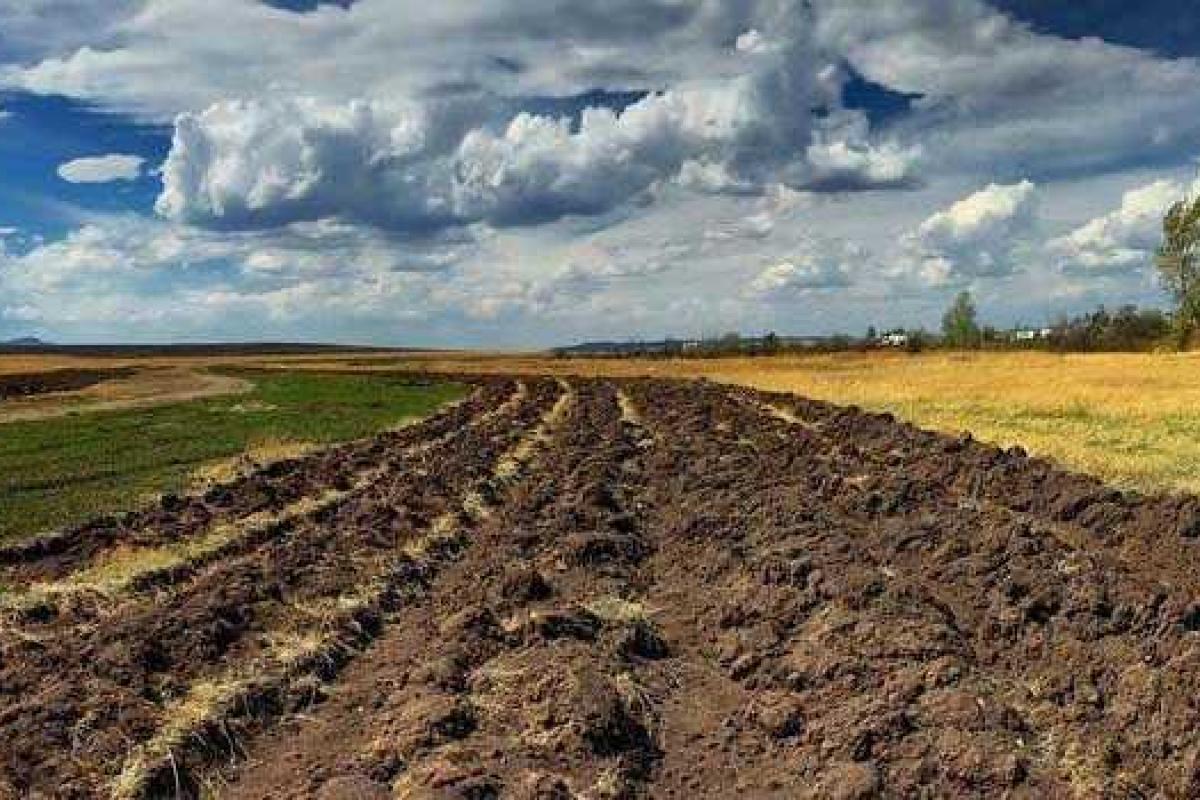 Мы хотим распродать украинскую землю, как самую дешевую в мире — нардеп