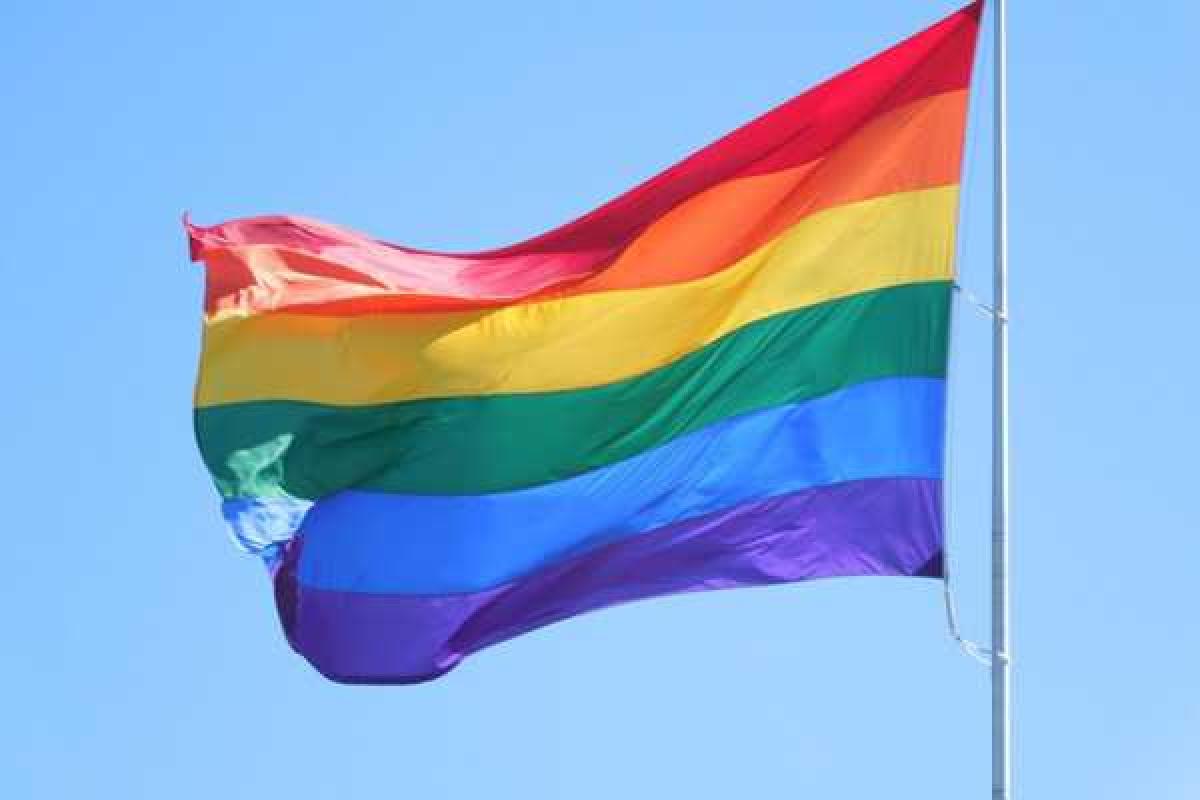 В Украине могут узаконить однополые союзы