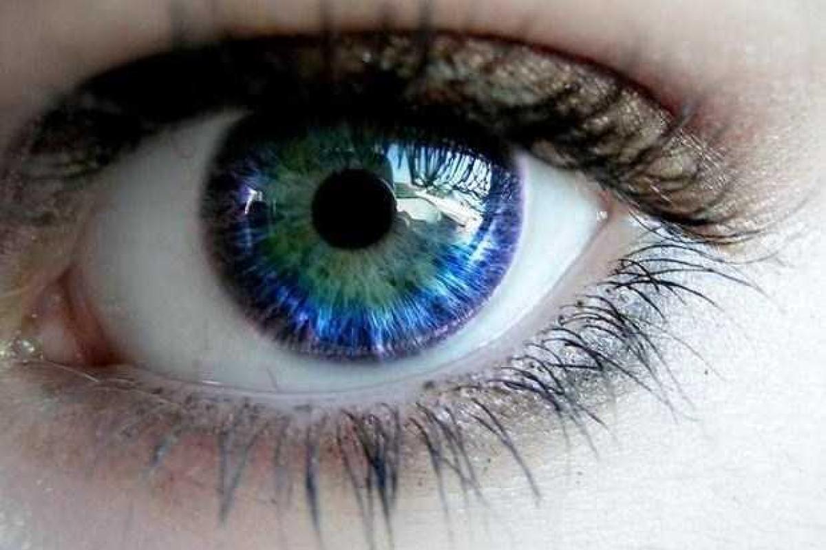 Ученые узнали какой продукт защитит от слепоты