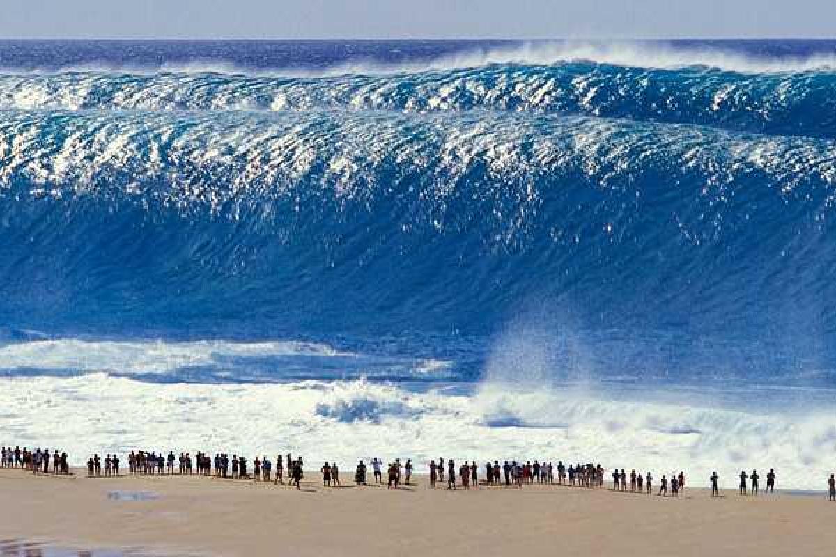 NASA предрекло всемирный потоп и гибель человечества уже через 60 лет