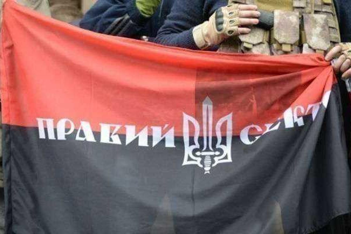 «Правый сектор» избрал нового лидера