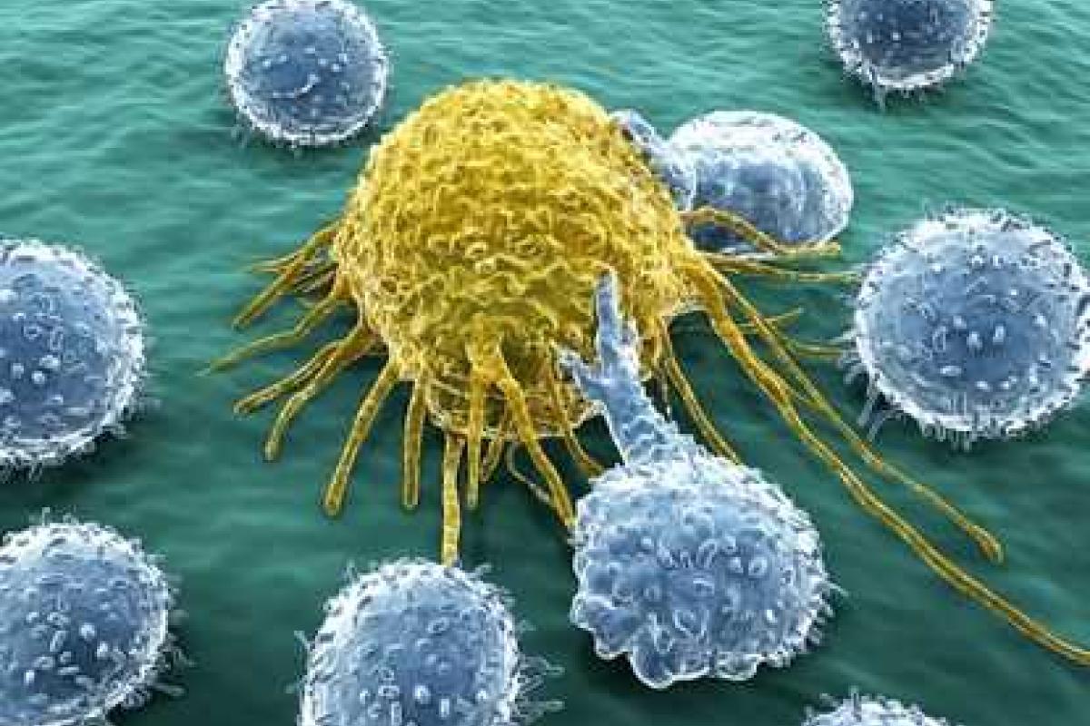 В борьбе с раком ученые намерены скоро поставить точку