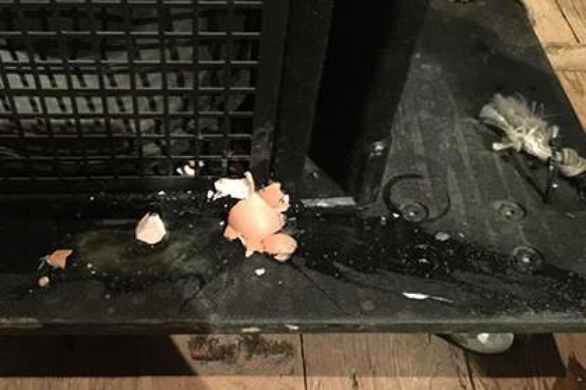 В Крыму на концерте группу "Воскресенье" забросали яйцами В Крыму на концерте группу "Воскресенье" забросали яйцами