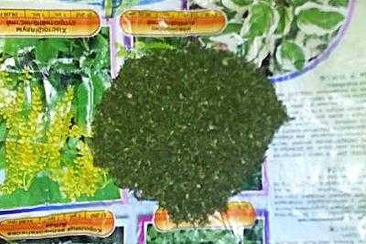 Молодая владелица наркопритона упаковала для себя "подарок" в СИЗО Молодая владелица наркопритона упаковала для себя "подарок" в СИЗО