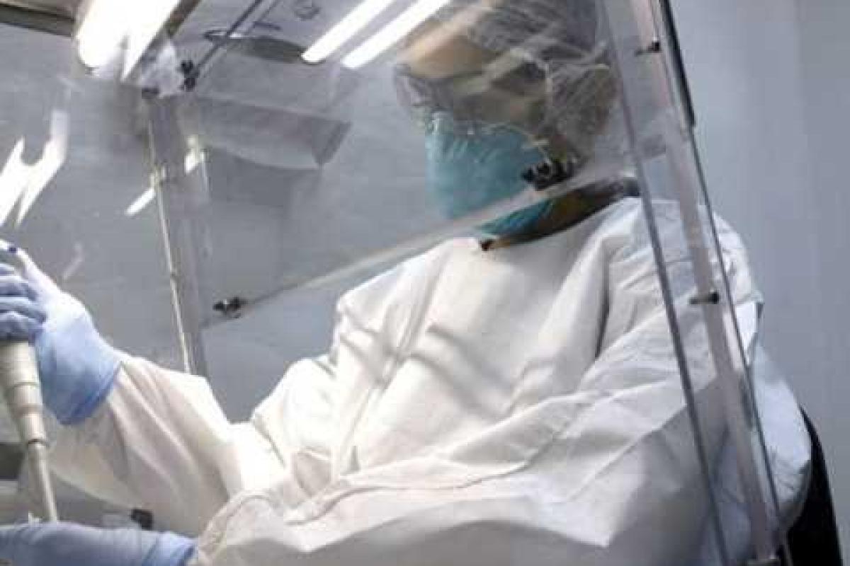 В Украине возможно появление вируса Зика