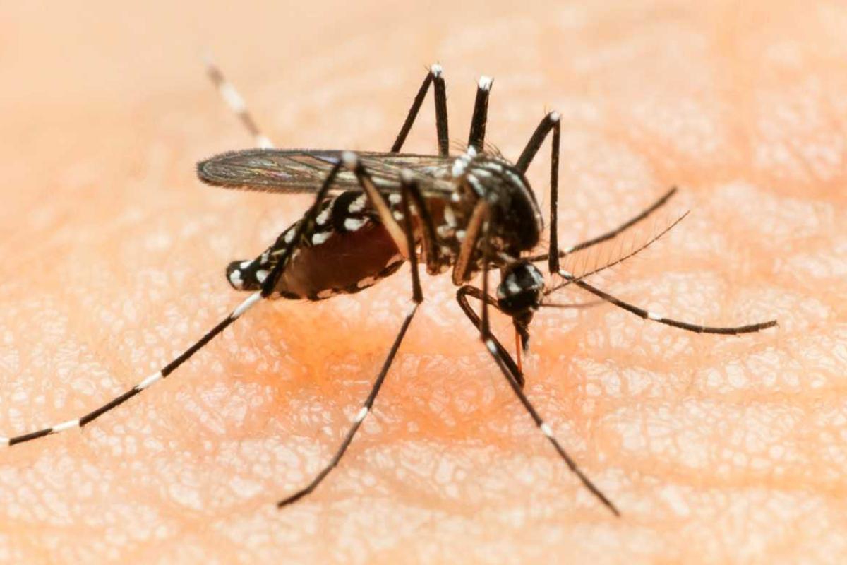 В Колумбии почти 9 тысяч беременных женщин заражены вирусом Зика