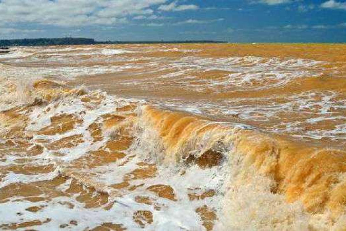 У крымского побережья Черное море стало желтым