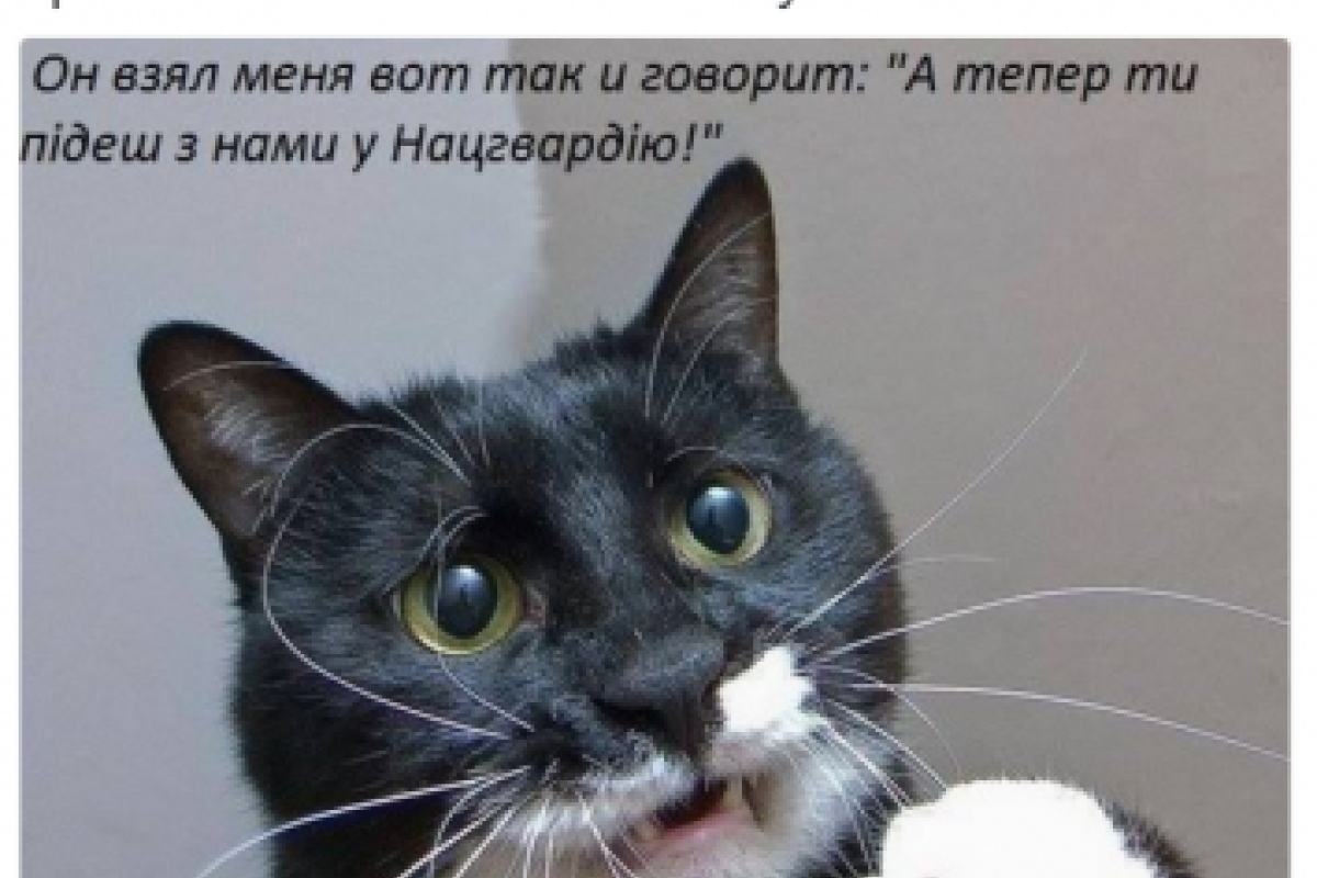 В сети жестко троллят путинскую Нацгвардию В сети жестко троллят путинскую Нацгвардию