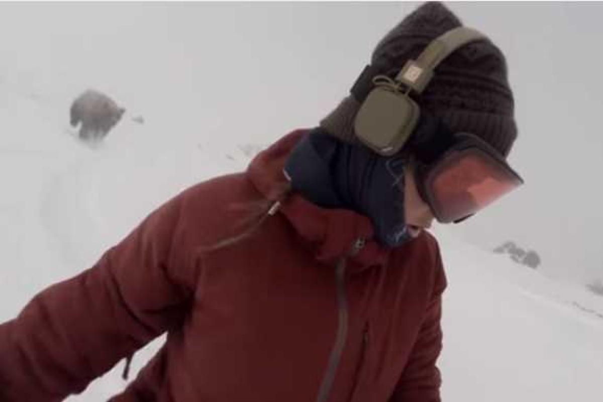 Девушка сняла на видео преследующего ее медведя