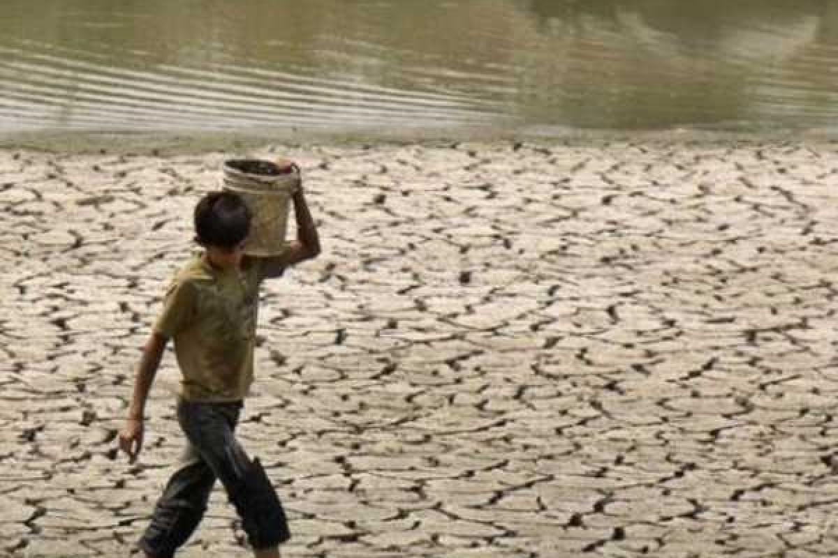 В Индии из-за жары погибли 111 человек В Индии из-за жары погибли 111 человек