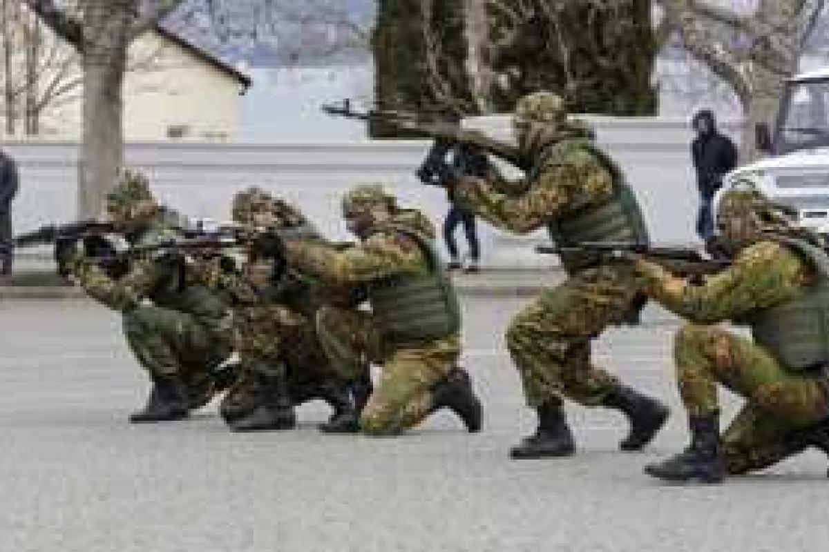 Stratfor: Путин создает Нацгвардию из-за боязни военного переворота Stratfor: Путин создает Нацгвардию из-за боязни военного переворота