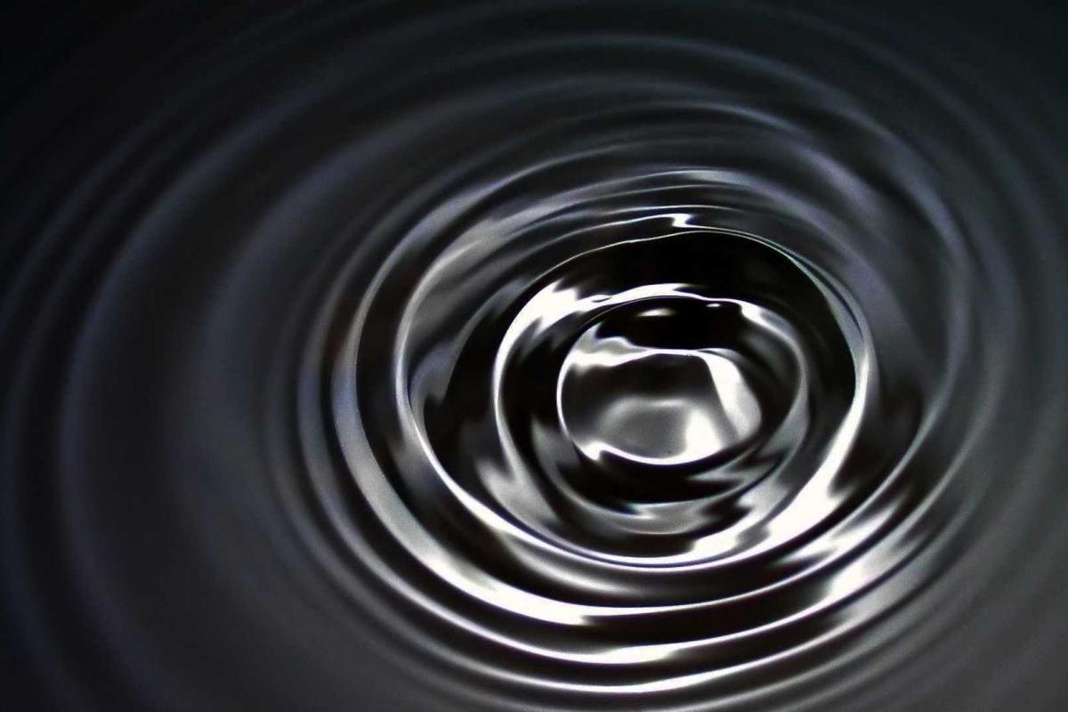 В Харьковской области обнаружили месторождение нефти В Харьковской области обнаружили месторождение нефти