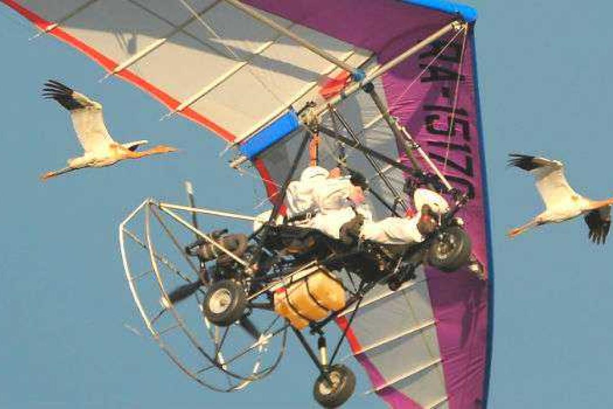 Редкий путинский журавль Елена вместе со своим избранником свили первое гнездо