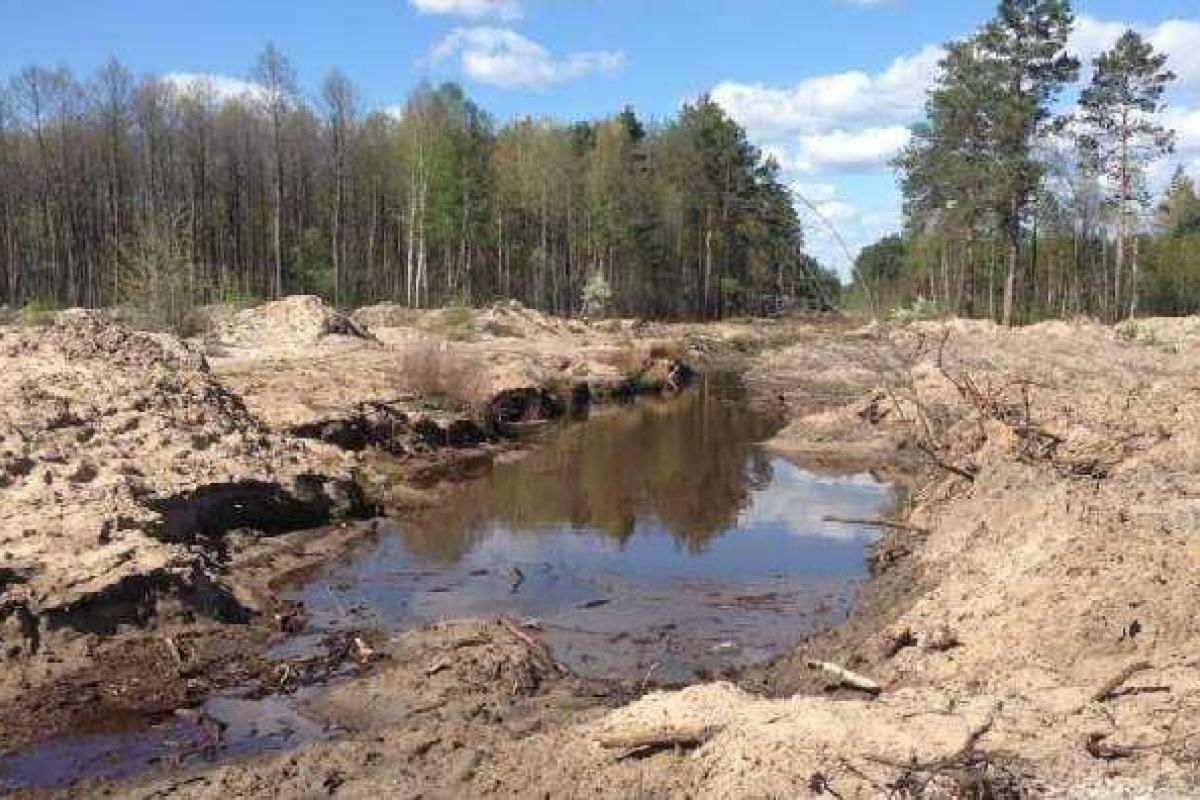 На Ровенщине после ввода Нацгвардии исчезли копатели янтаря