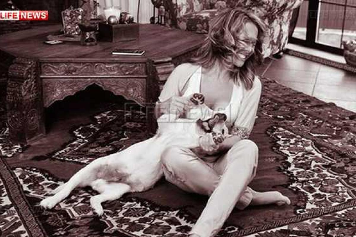 Врач-онколог рассказала, сколько проживет собака Жанны Фриске, больная раком Врач-онколог рассказала, сколько проживет собака Жанны Фриске, больная раком