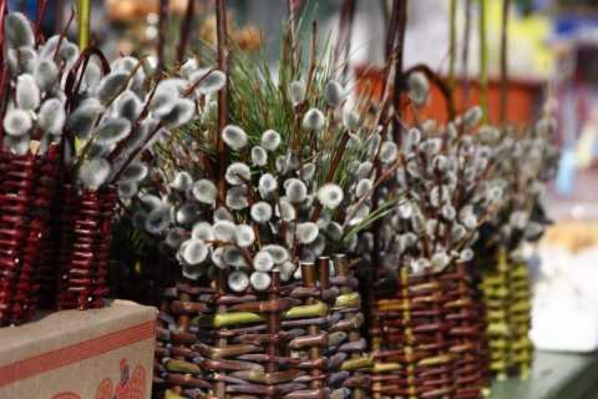 Сегодня православные христиане празднуют Вербное воскресенье