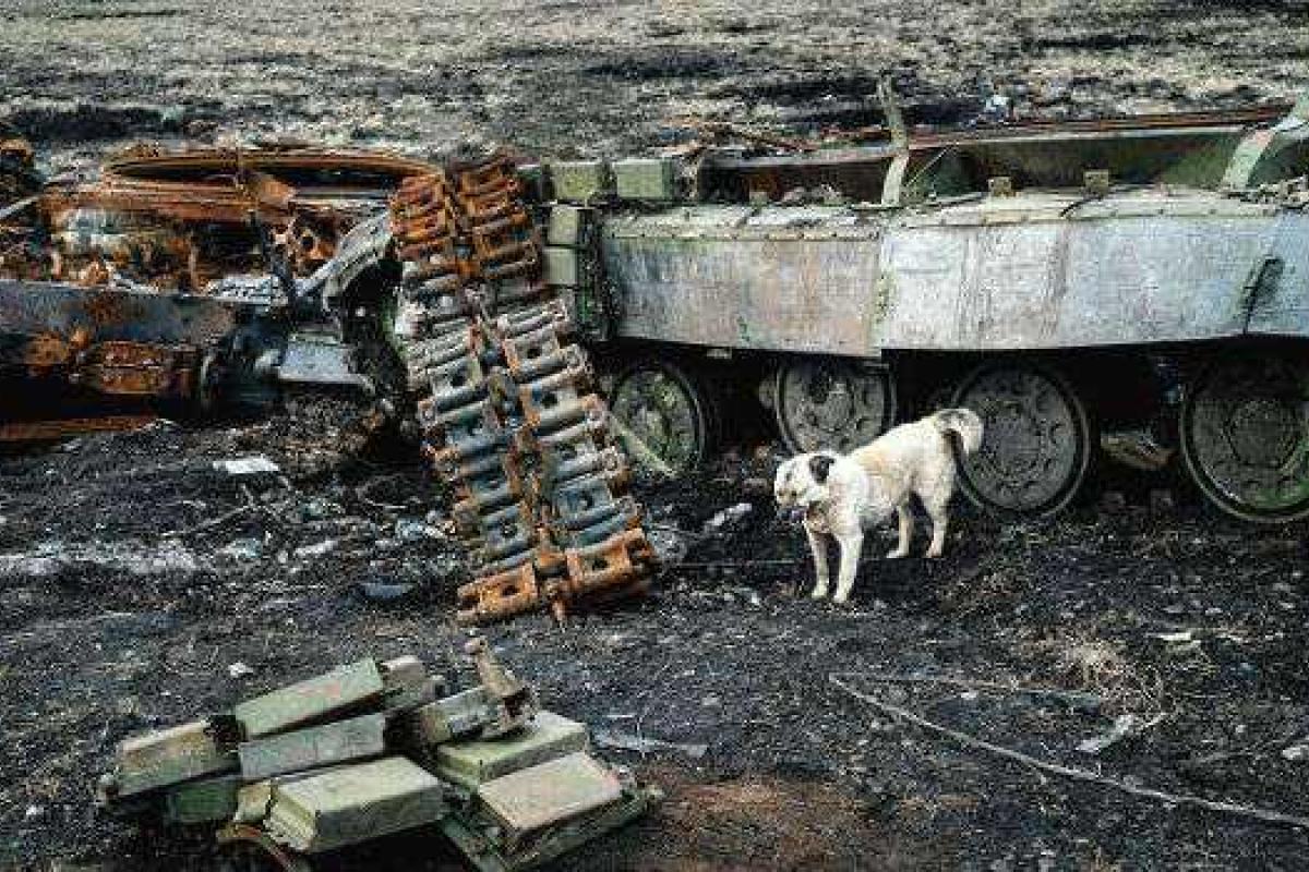 Под Дебальцево обнаружили захоронение военных ВСУ - минобороны «ДНР»