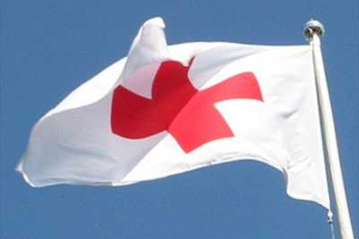 Красный Крест доставит в ОРДО 35 тонн стройматериалов