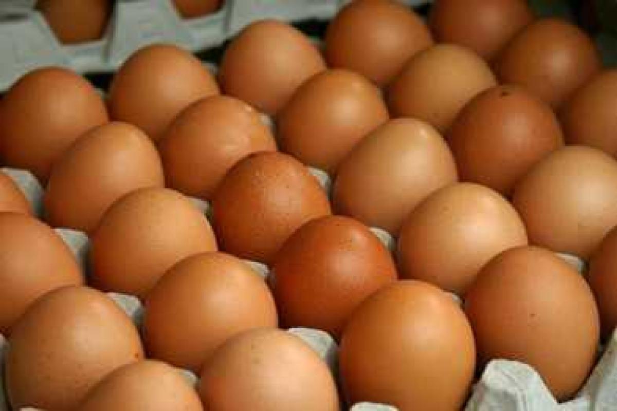 В Мариуполе резко подешевели куриные яйца 