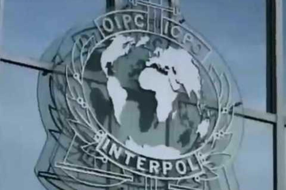 Интерпол объявил в розыск соратников Януковича