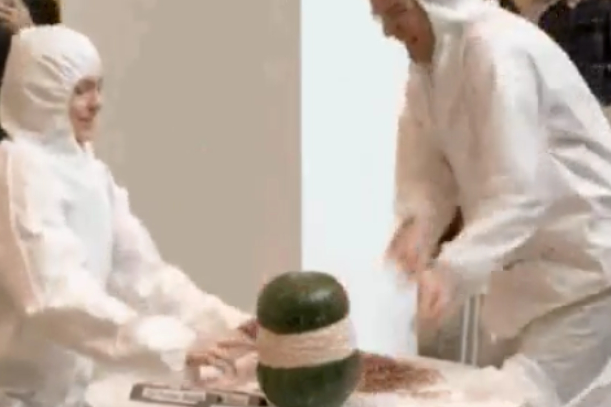 Прямую трансляцию уничтожения арбуза резинками посмотрели 800 тысяч человек