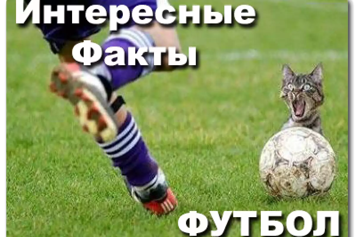 Интересные факты, связанные с футболом Интересные факты, связанные с футболом