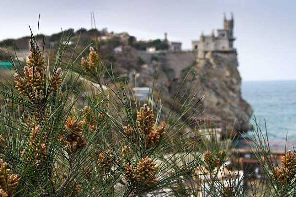 Российские отдыхающие признают, что Крым был лучше при Украине Российские отдыхающие признают, что Крым был лучше при Украине