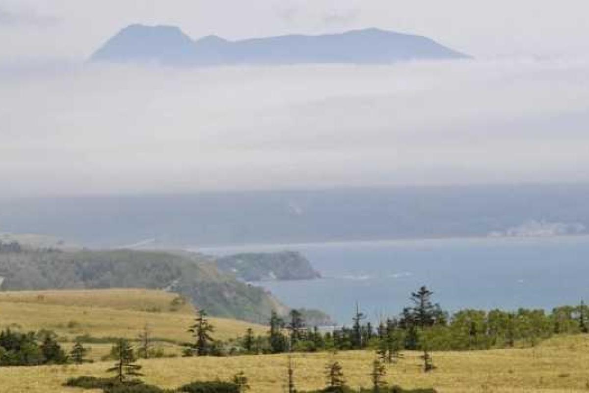 Путин подписал постановление о бесплатной раздаче земель на Дальнем Востоке Путин подписал постановление о бесплатной раздаче земель на Дальнем Востоке