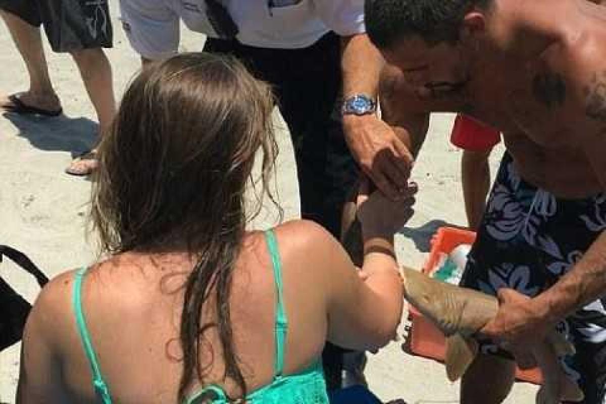 Курьезный случай: В США акула укусила девушку и умерла