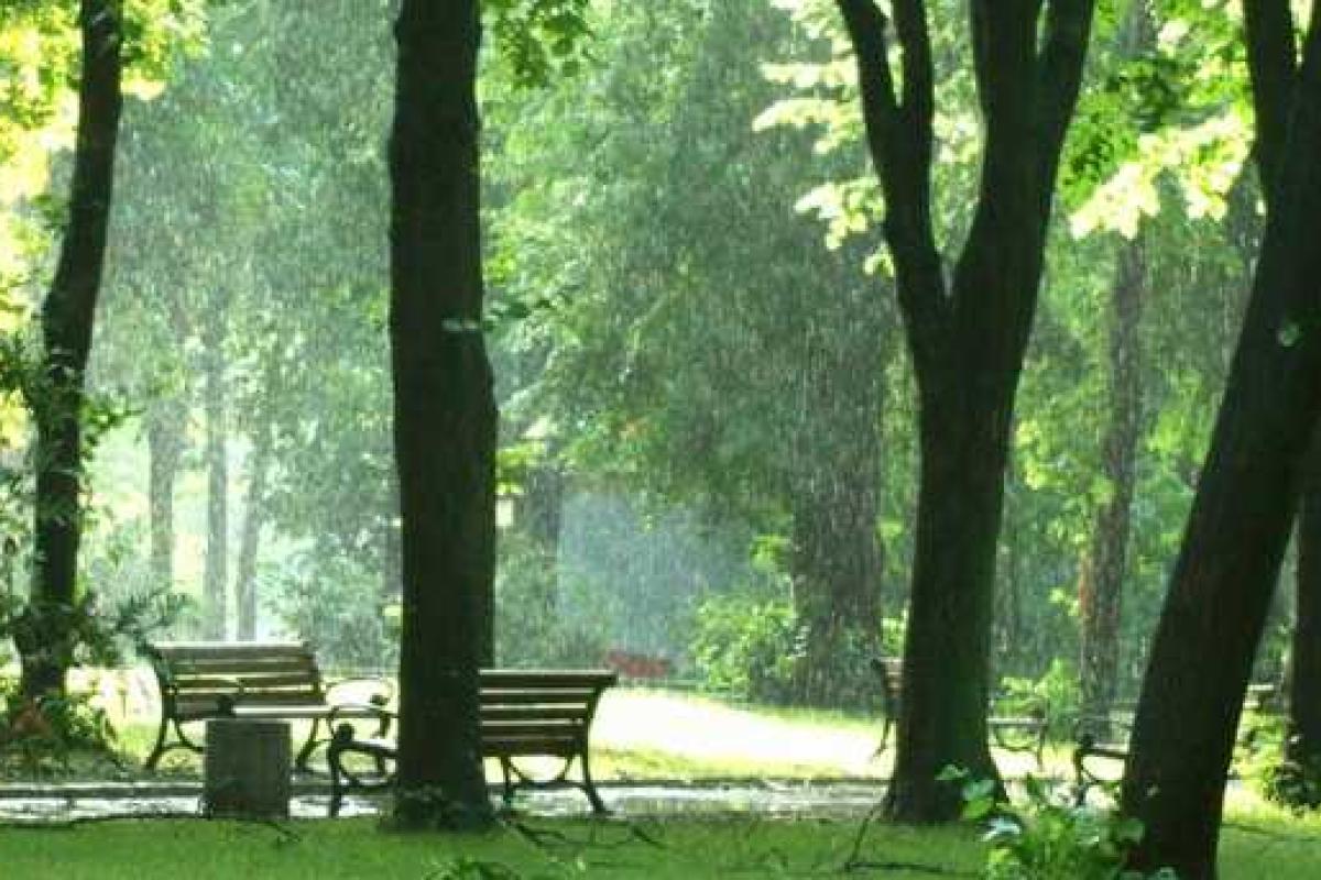 В Украине - похолодание и дожди В Украине - похолодание и дожди