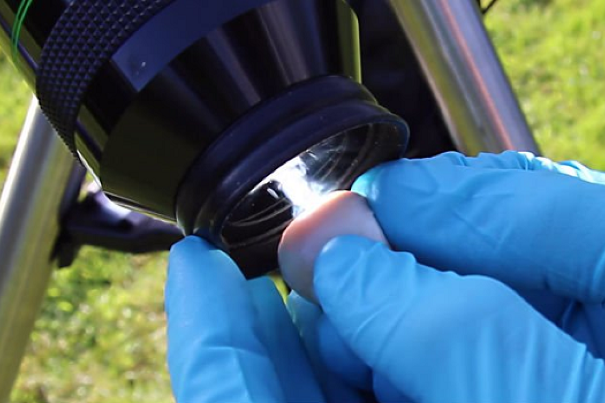 Британский астроном показал солнечный ожог на глазу свиньи (18+)