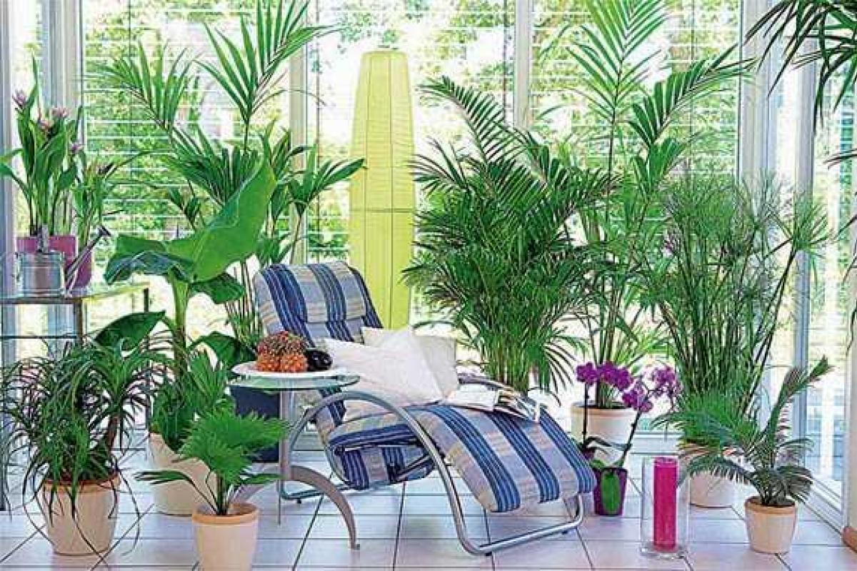 Полив и опрыскивание растений. Советы и рекомендации Полив и опрыскивание растений. Советы и рекомендации