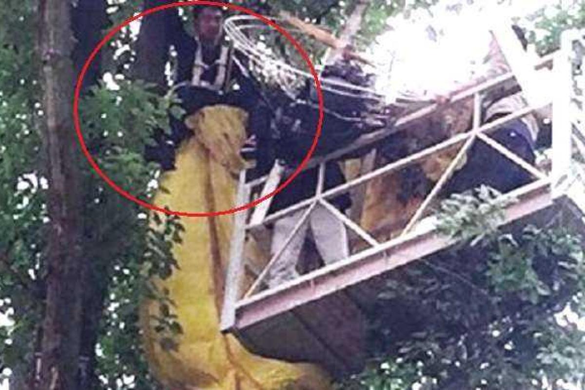 В Китае парень застрял на дереве при попытке сделать девушке предложение