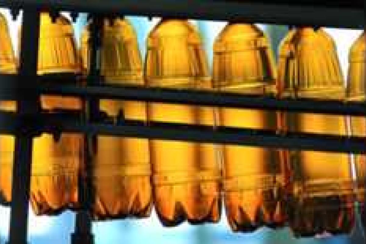 В России исчезнет пиво в пластиковой таре