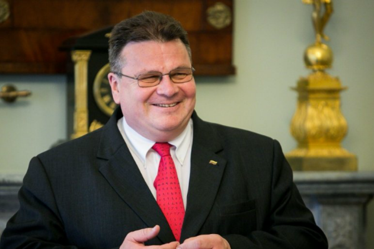 Глава МИД Литвы поздравил Надежду Савченко с возвращением домой