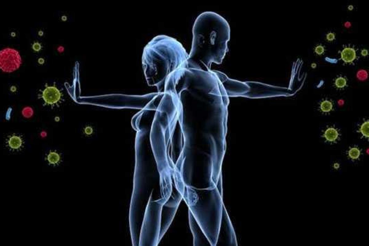 Иммунная система человека