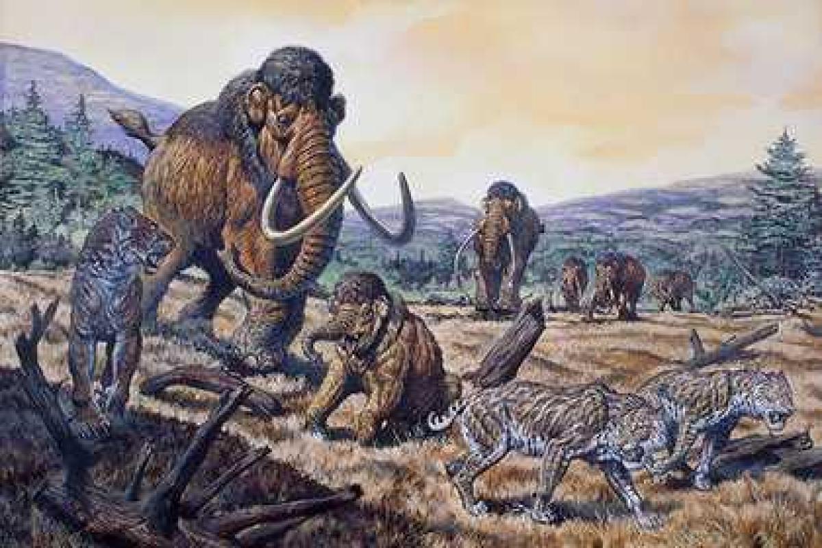 В глубинах океана обнаружили спящего «монстра»