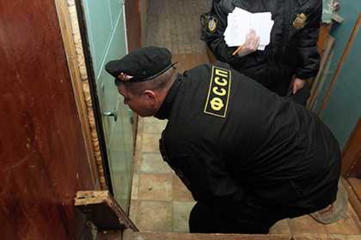 В России любимый кот "заставил" хозяина погасить задолженность