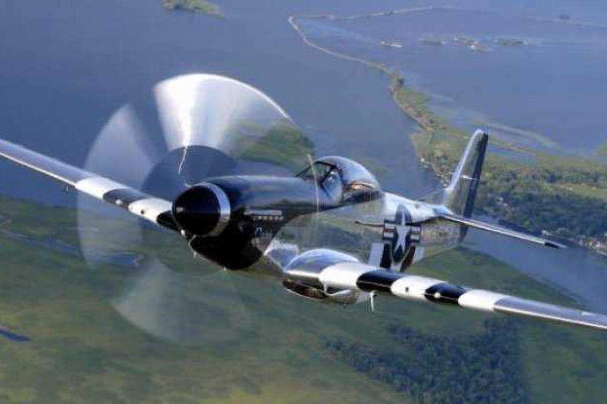 В США самолет столкнулся с оленем и перевернулся