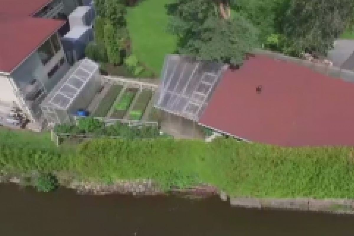 В Петербурге загоравший голышом мужчина расстрелял квадрокоптер журналистов В Петербурге загоравший голышом мужчина расстрелял квадрокоптер журналистов