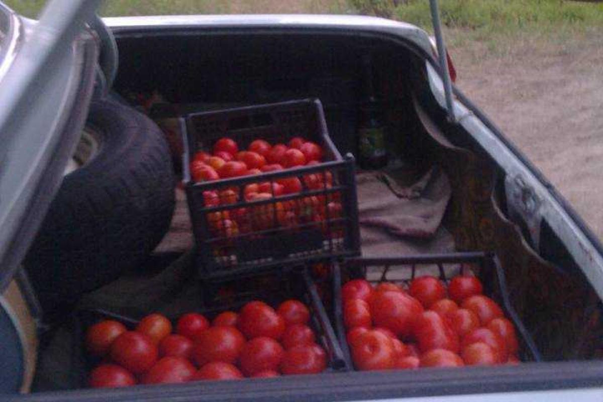 "Кормильцы ЛНР": Как адепты "русского мира" с украинской территории "подкармливают" оккупированный Донбасс "Кормильцы ЛНР": Как адепты "русского мира" с украинской территории "подкармливают" оккупированный Донбасс