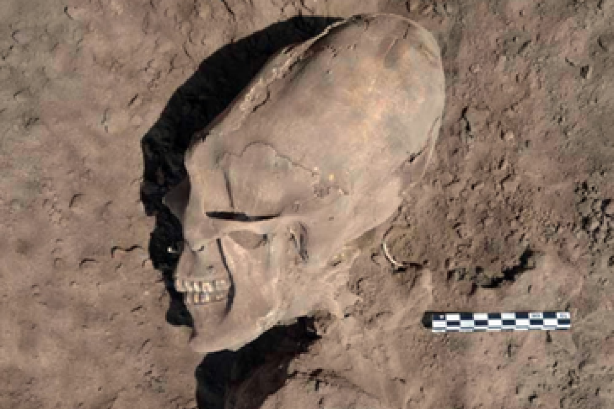 Ученые: Обнаружены останки окаменевшего пришельца на Красной планете