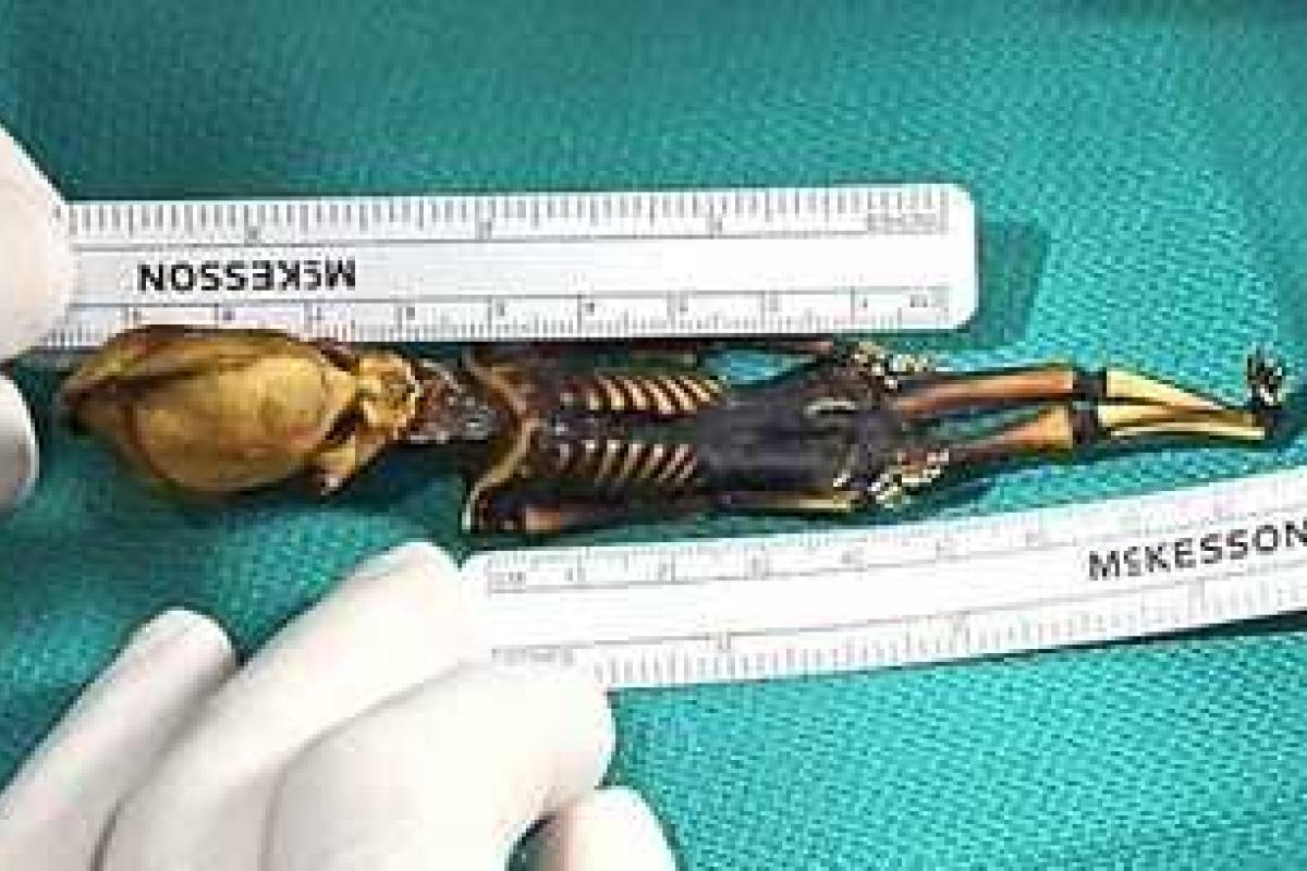 На Марсе обнаружены останки маленького инопланетянина, похожего на "гуманоида Атакамы"